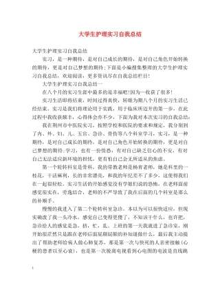 大学生护理实习自我总结 (2) 