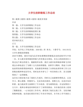 大学生挂职锻炼工作总结2 