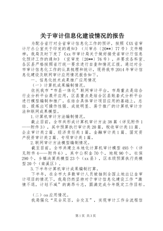 关于审计信息化建设情况的报告