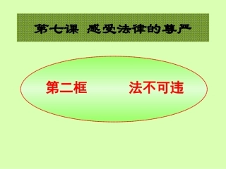 第七课第二框法不可违