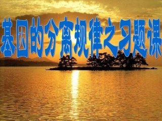 分离定律习题课