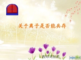 《离子共存》课件