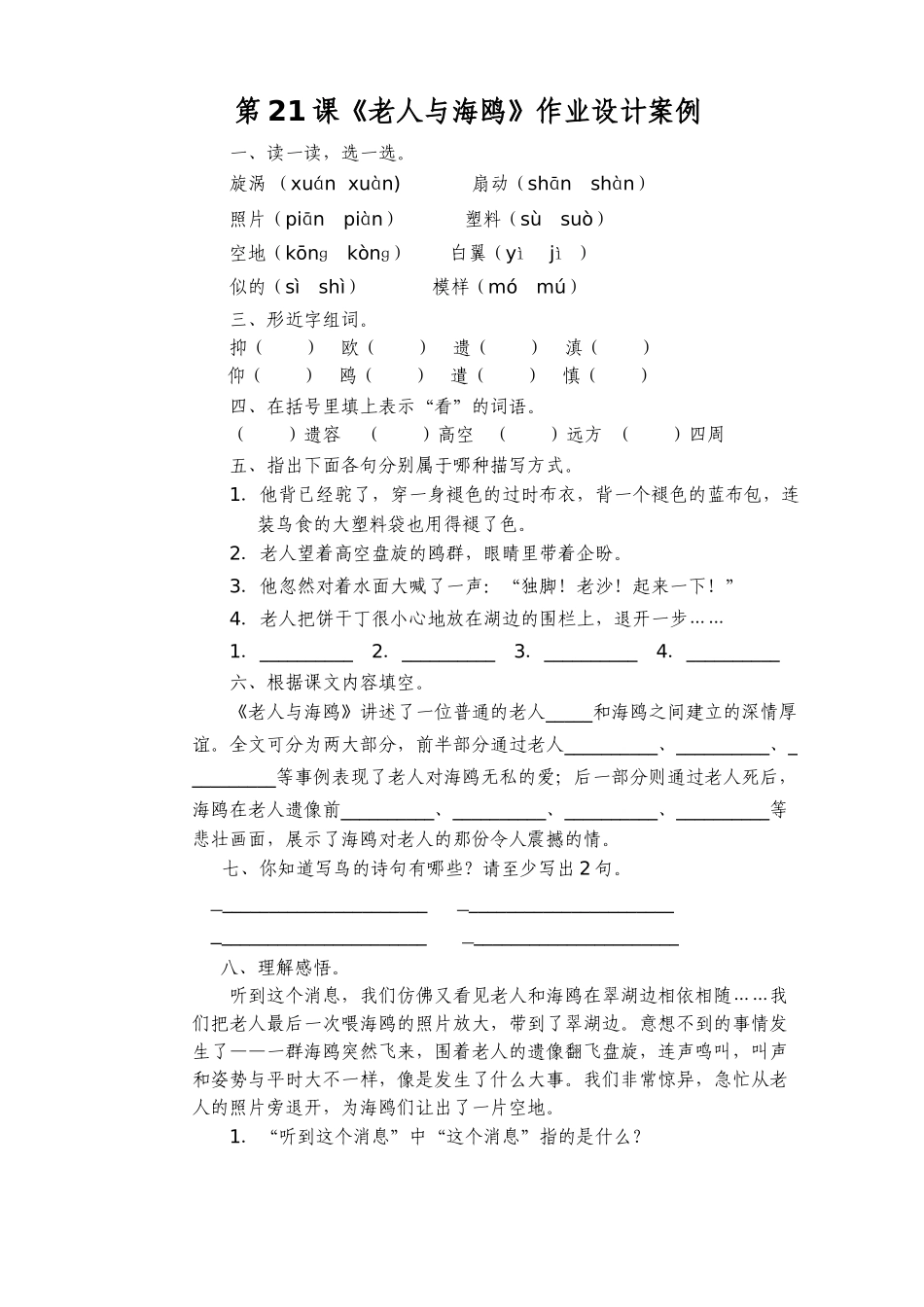 老人与海鸥作业设计_第1页