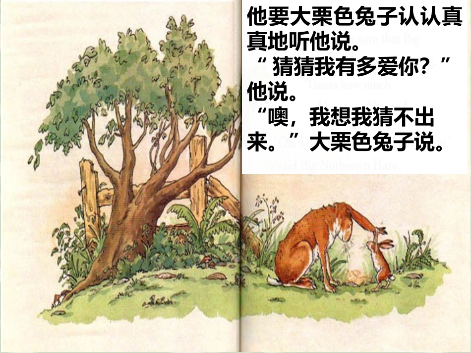 猜猜我有多爱你_第3页