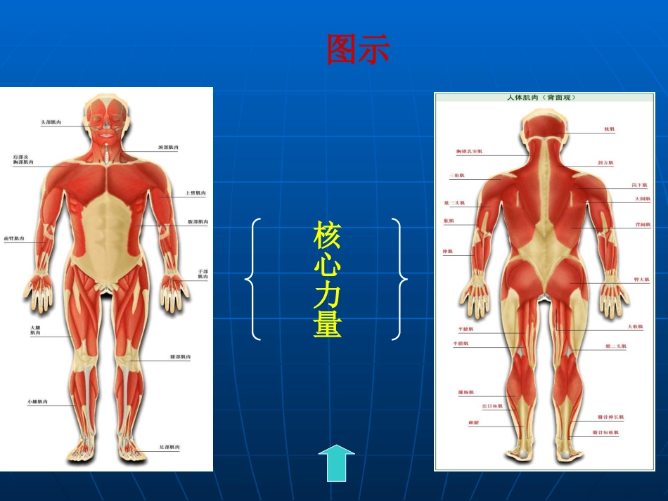 核心力量课件_第3页