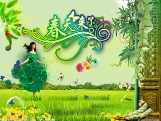 油菜花开了上课用课件