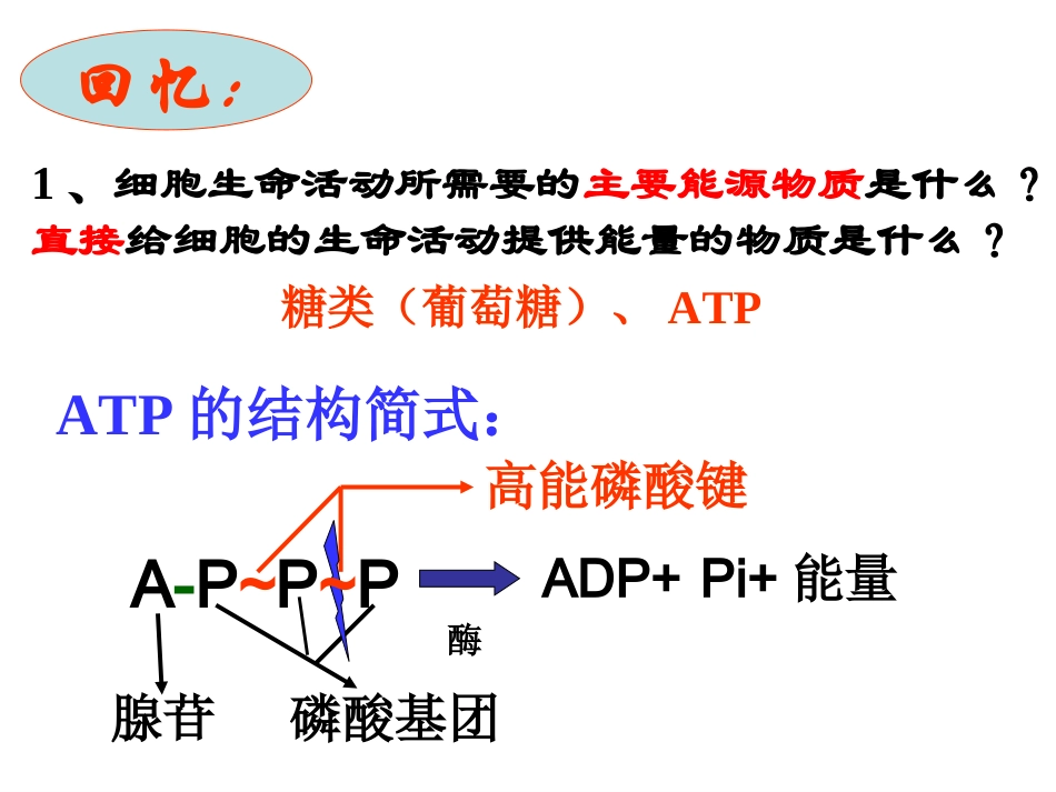 ATP的主要来源——细胞呼吸_第3页