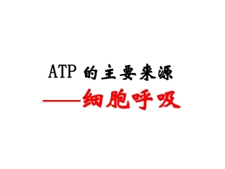 ATP的主要来源——细胞呼吸
