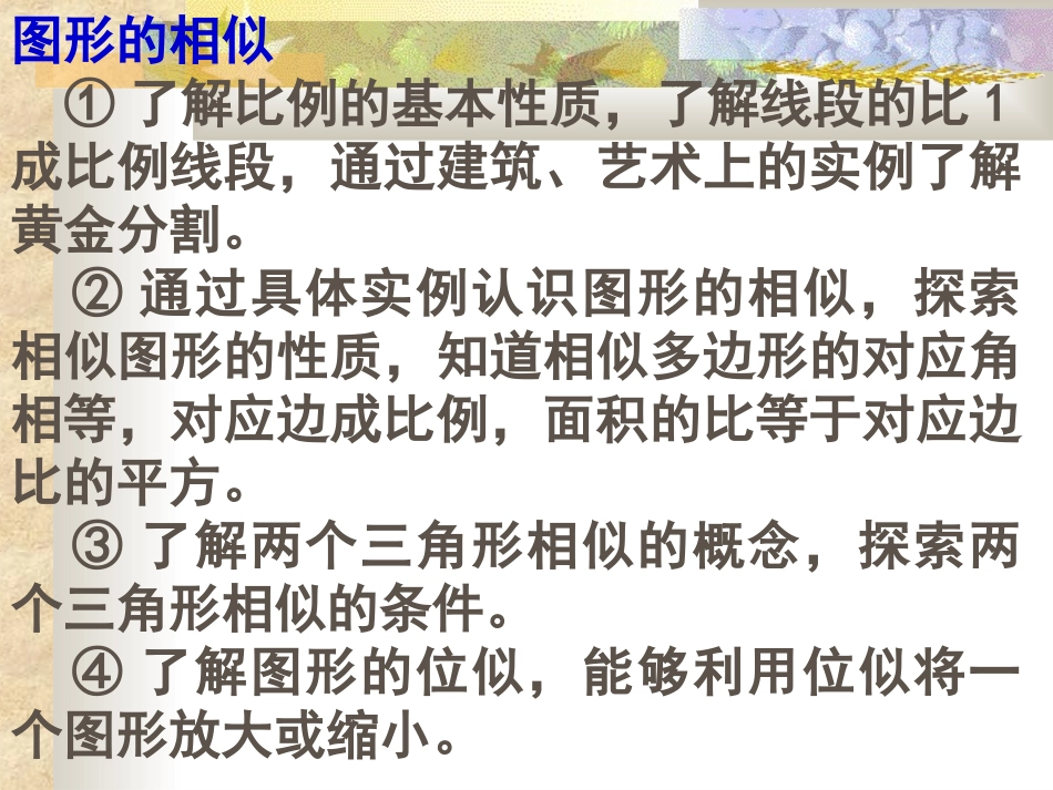 图形的相似复习课课件湘教版九年级上_第2页