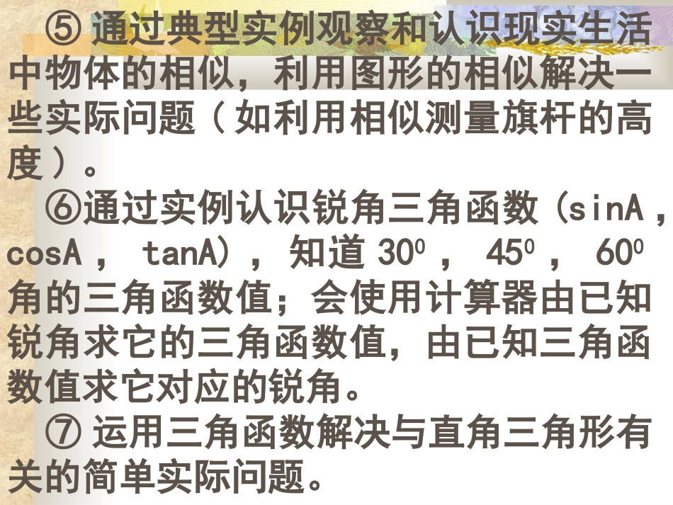 图形的相似复习课课件湘教版九年级上_第3页