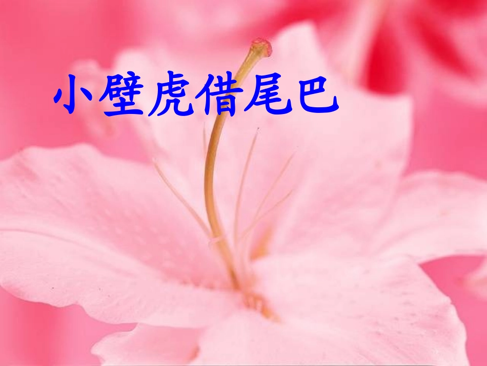 小壁虎借尾巴_第1页