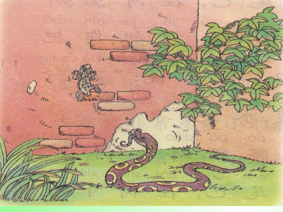 小壁虎借尾巴_第2页