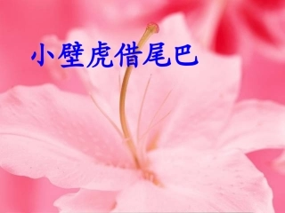 小壁虎借尾巴