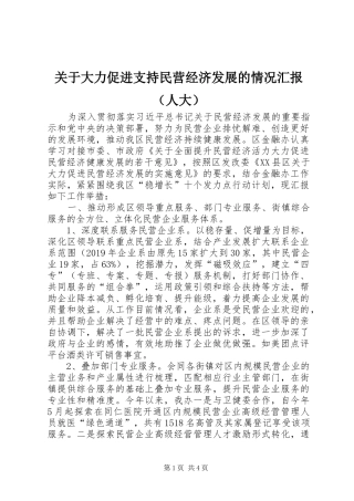 关于大力促进支持民营经济发展的情况汇报（人大）