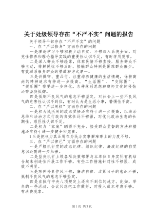 关于处级领导存在“不严不实”问题的报告
