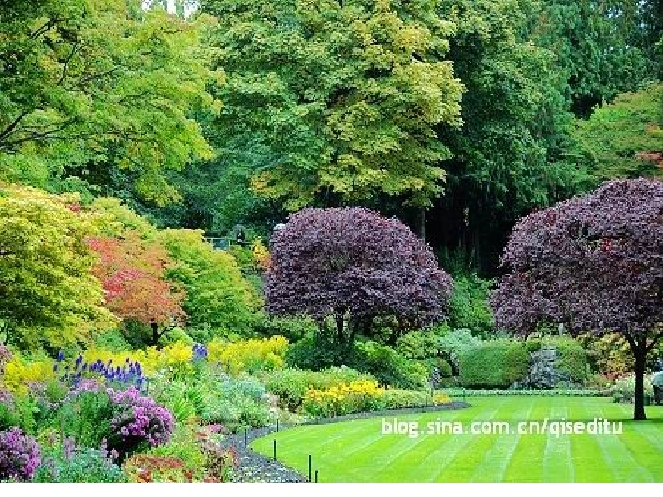 五彩的花地毯_第2页