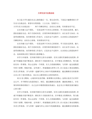 大学生实习自我总结 
