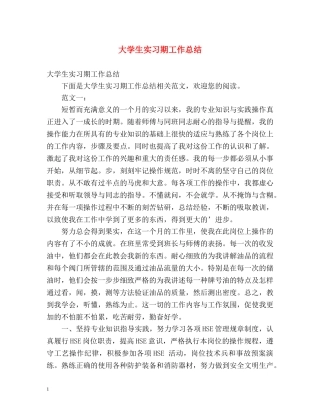大学生实习期工作总结 