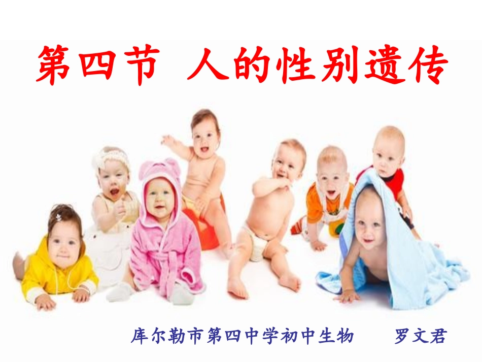 人的性别遗传说课课件_第1页