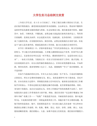 大学生实习总结例文欣赏 