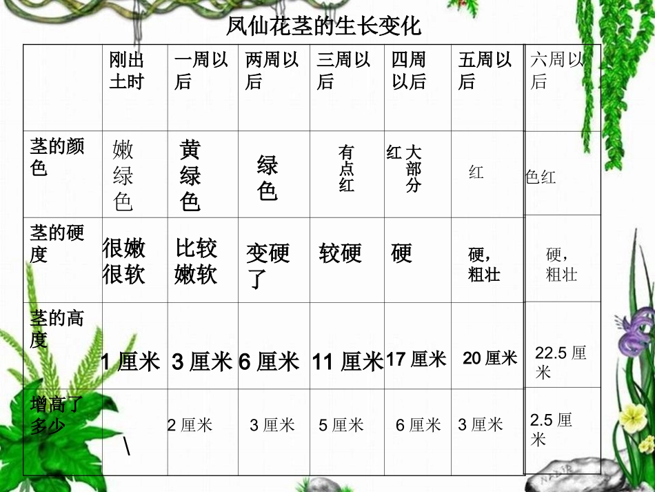 茎越长越高PPT三下_第2页