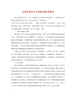 大学生实习个人总结3000字范文 