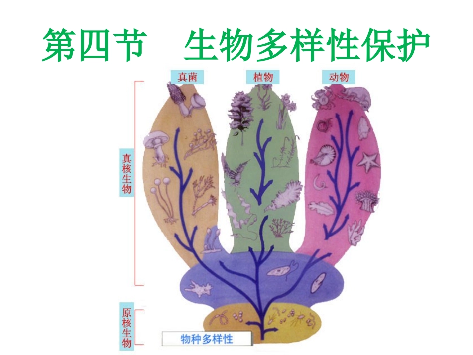 生物多样性保护_第1页