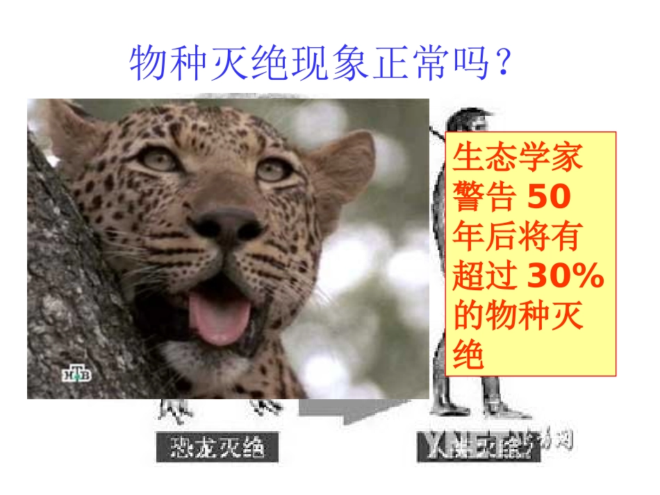 生物多样性保护_第2页