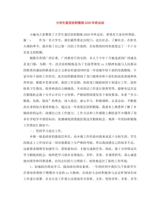 大学生基层挂职锻炼2020年终总结 