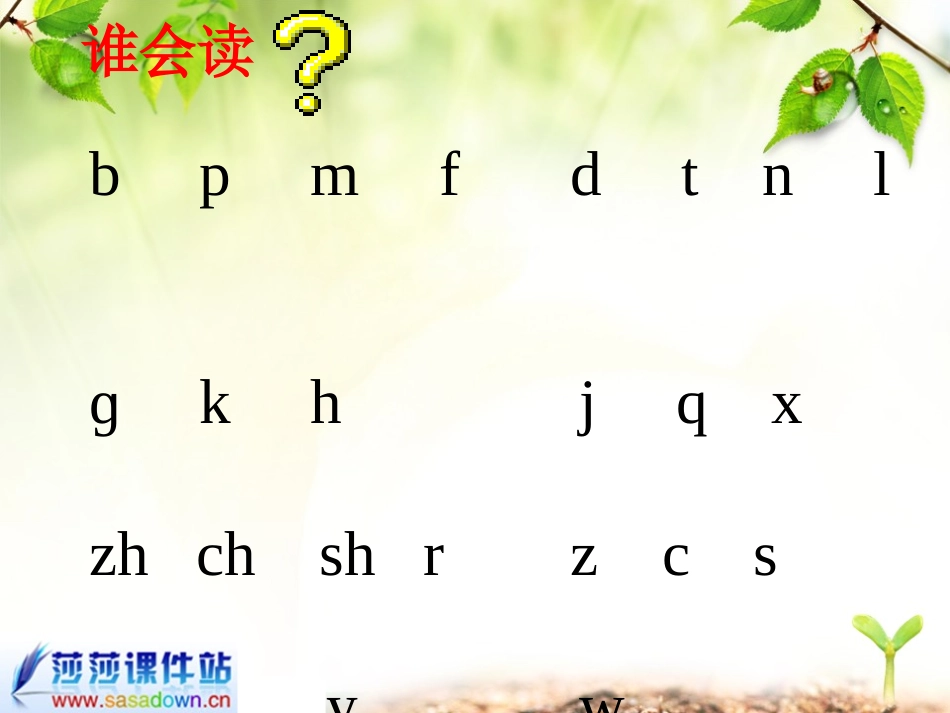 汉语拼音复习二_第2页