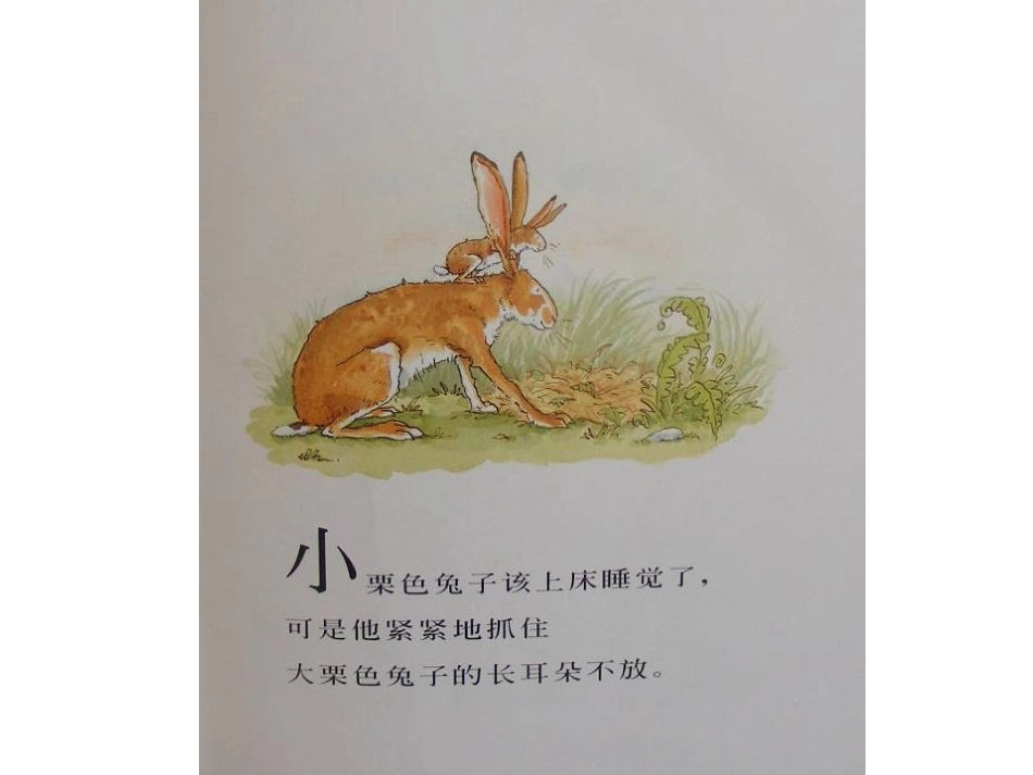 《猜猜我有多爱你》 (2)_第3页