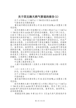 关于四支路天然气管道的报告(1)