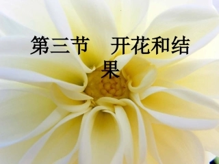 第三节__开花和结果_xin(1)