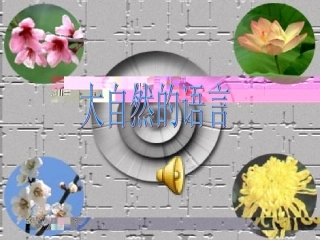 大自然的语言 ()