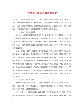 大学生入职培训的总结范文 