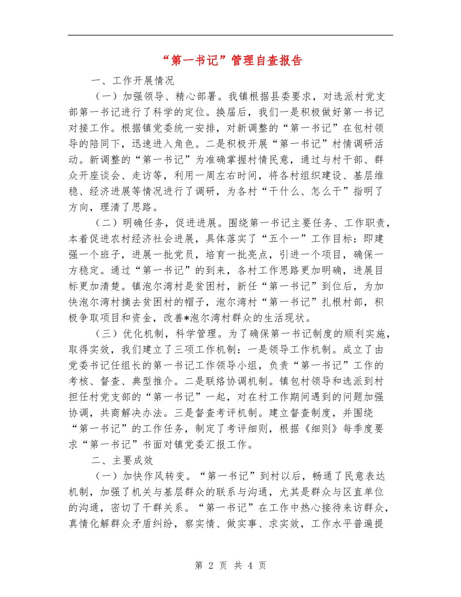 “第一书记”管理自查报告_第2页