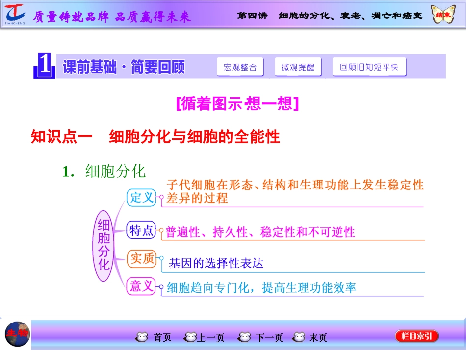 第四讲细胞的分化、衰老、凋亡和癌变_第2页
