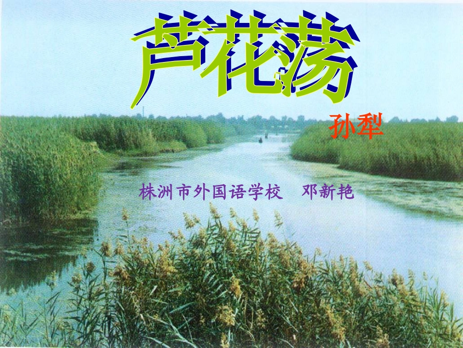 《芦花荡》教学课件_第1页