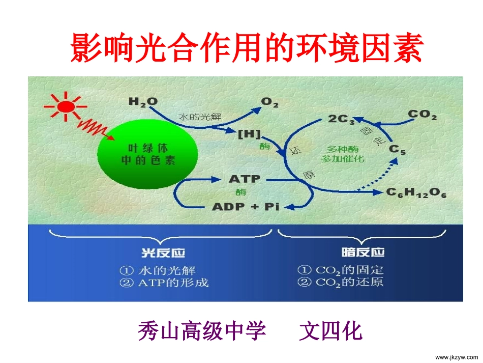 影响光合作用的因素_第1页