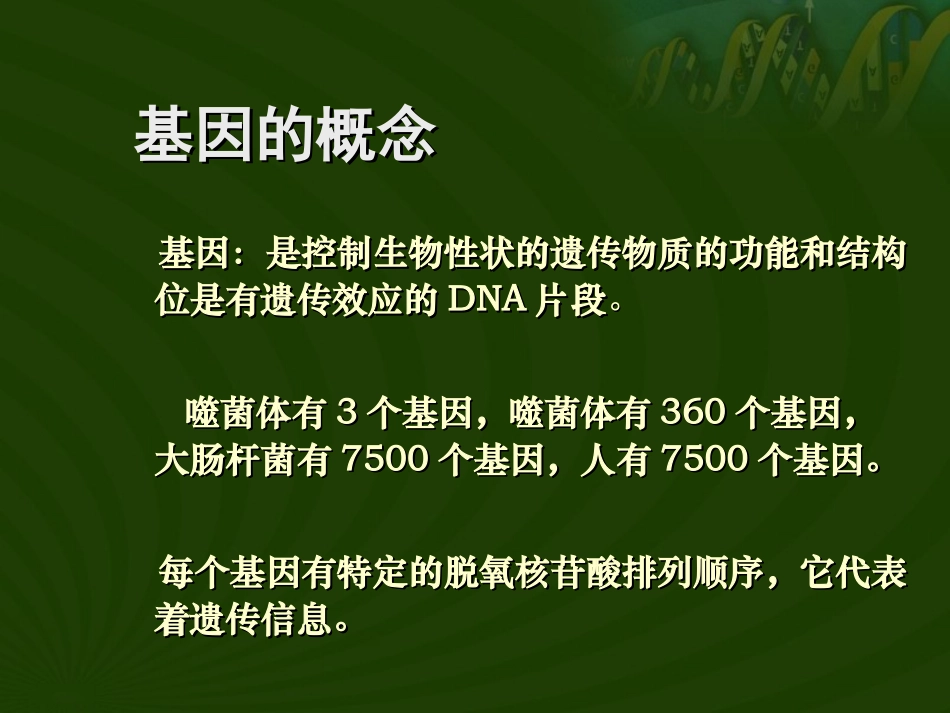 基因的表达课件_第2页