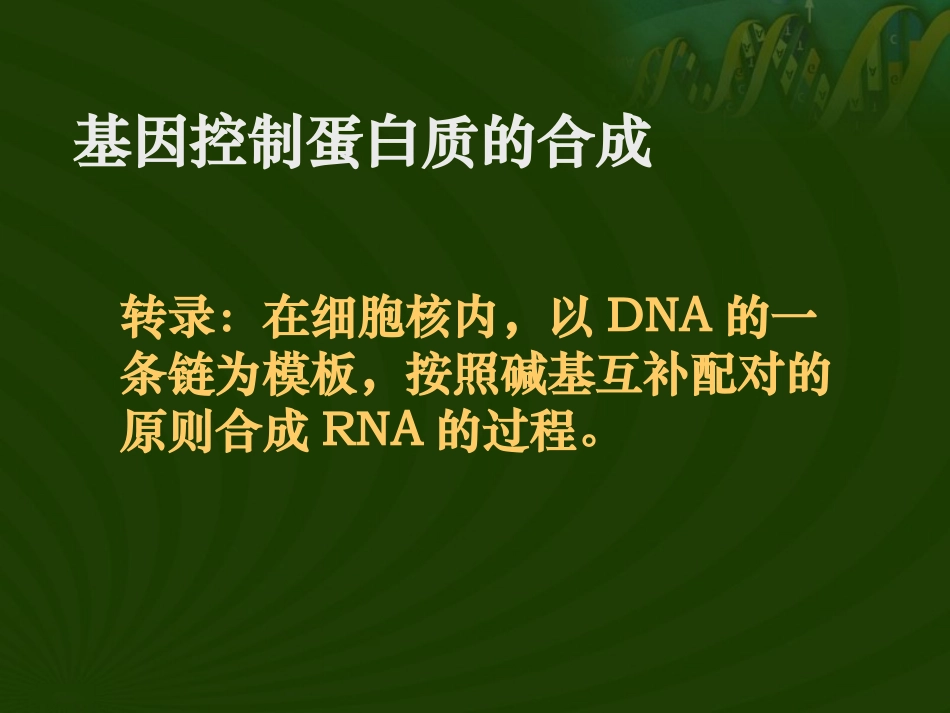 基因的表达课件_第3页