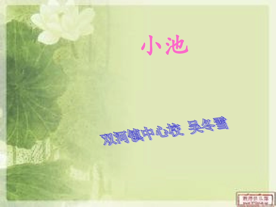 小池课件课件_第1页