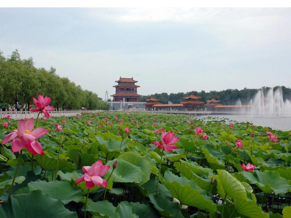 小池课件课件_第3页