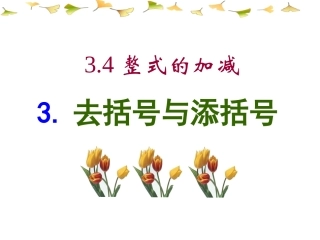 去括号与添括号