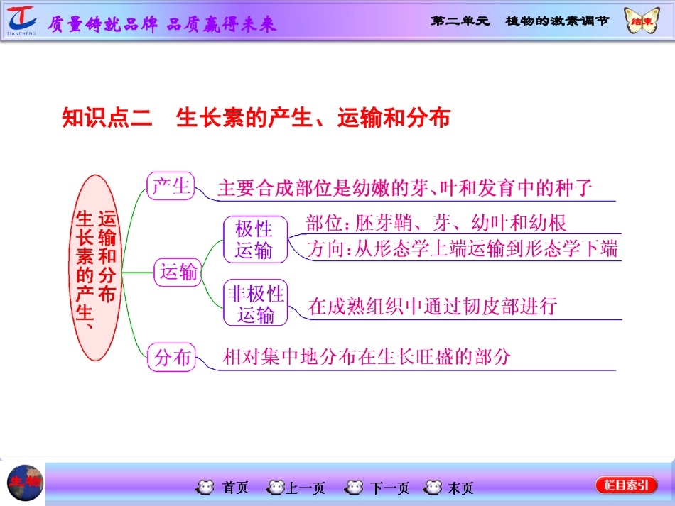 第二单元植物的激素调节_第3页