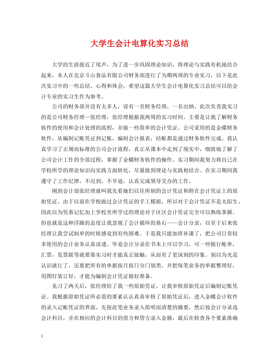 大学生会计电算化实习总结 _第1页