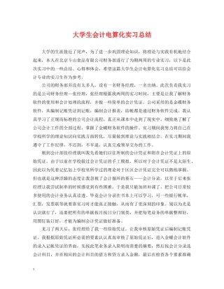 大学生会计电算化实习总结 
