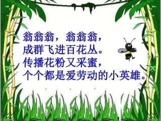 蜜蜂引路课件