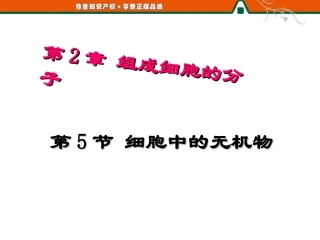 细胞中的无机物 ()