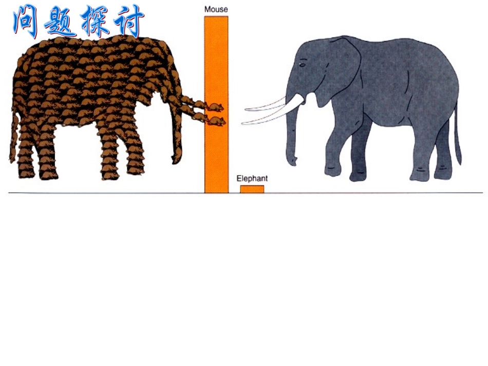 第1节-细胞的增殖1_第3页